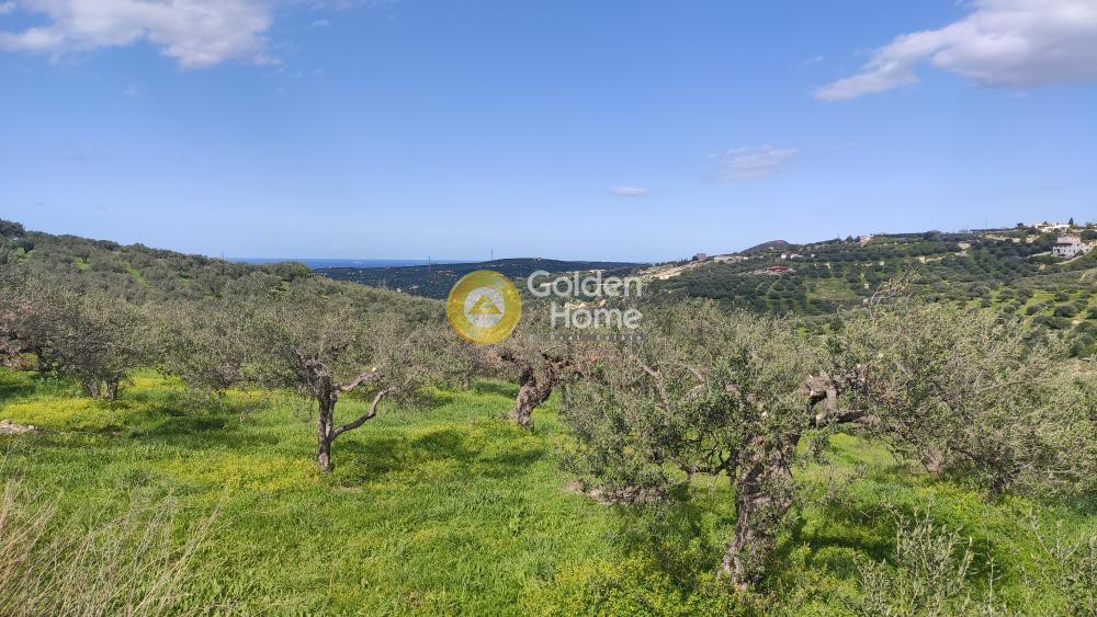 Οικόπεδο 5.300 τ.μ. προς πώληση, Σκαλάνι