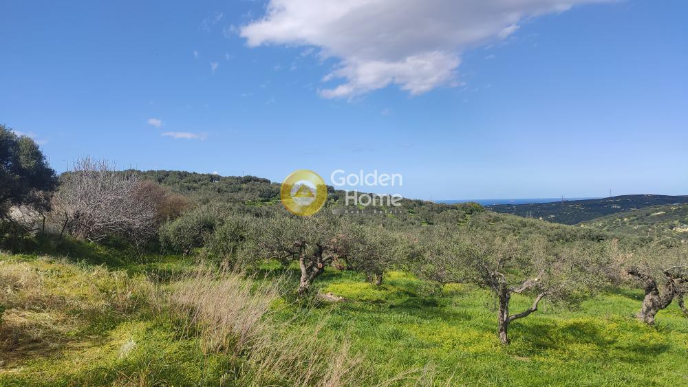 Οικόπεδο 5.300 τ.μ. προς πώληση, Σκαλάνι