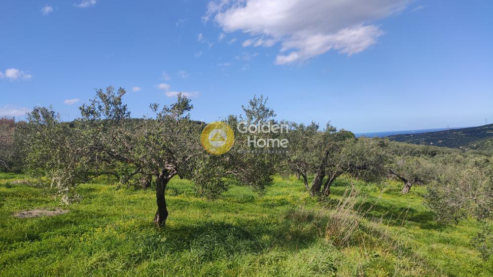 Οικόπεδο 5.300 τ.μ. προς πώληση, Σκαλάνι