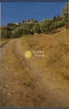 Αγροτεμάχια 935 τ.μ. για πώληση, Αττική - Υπόλοιπο, Ραφήνα