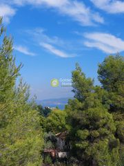 Οικόπεδο 1.000 τ.μ. για πώληση