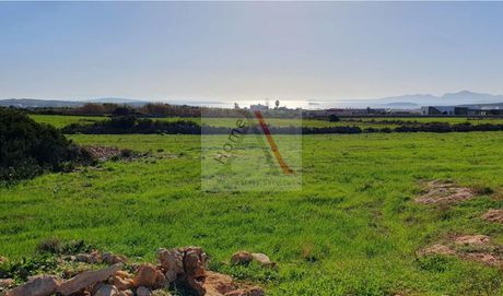 Αγροτεμάχια 5.080τ.μ. για πώληση-Πάρος » Κάμπος