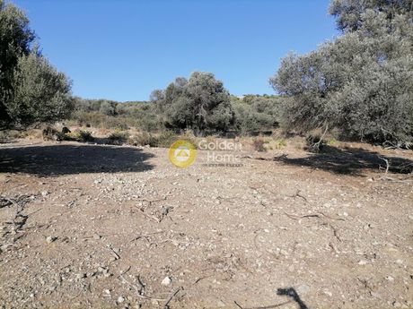 Αγροτεμάχια 1.000τ.μ. για πώληση-Μοίρες » Κουσές