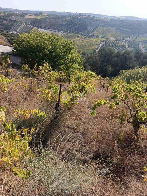 Οικόπεδο 4.049 τ.μ. προς πώληση, Βούτες
