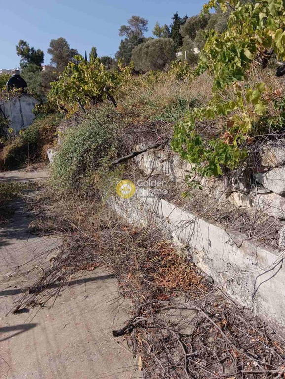 Οικόπεδο 4.049 τ.μ. προς πώληση, Βούτες