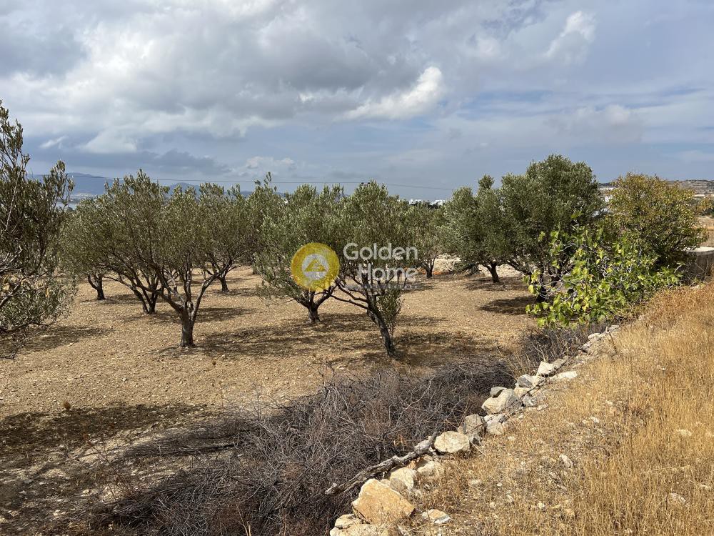 Αγροτεμάχια 4.010 τ.μ. προς πώληση, Αγκαιριά