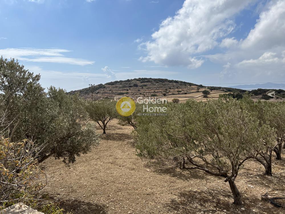 Αγροτεμάχια 4.010 τ.μ. προς πώληση, Αγκαιριά