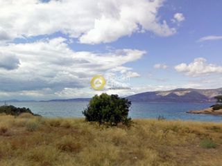 Οικόπεδο 54.000 τ.μ. για πώληση