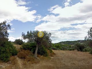 Οικόπεδο 54.000 τ.μ. για πώληση, Αργολίδα, Κρανίδι-thumb-1