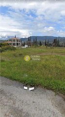 Οικόπεδο 488 τ.μ. προς πώληση, Πεύκα Ερινεού-thumb-1