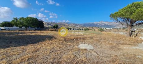 Οικόπεδο 4.700τ.μ. για πώληση-Νάξος - δρυμαλία » Ράχη