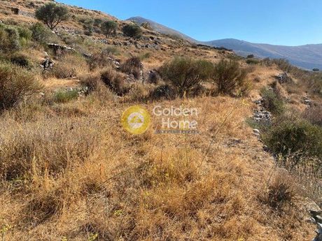 Αγροτεμάχια 6.600τ.μ. για πώληση-Πάρος » Χωριουδάκι