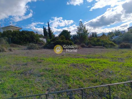 Αγροτεμάχια 500τ.μ. για πώληση-Ωρωπός » Καμάρι