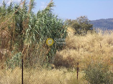 Αγροτεμάχια 8.943τ.μ. για πώληση-Ερίνεο » Μπούκα