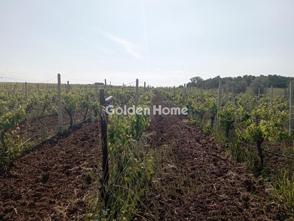 Parcel 14.400 sqm for sale, Chalkidiki, Kallikrateia