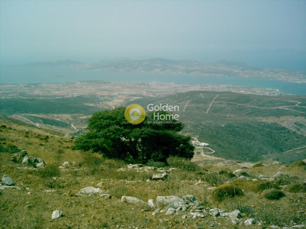 Οικόπεδο 17.034 τ.μ. προς πώληση, Κακάπετρα
