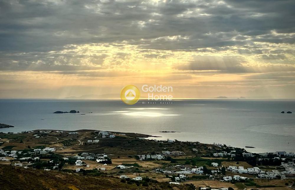 Αγροτεμάχια 4.103 τ.μ. προς πώληση, Κακάπετρα