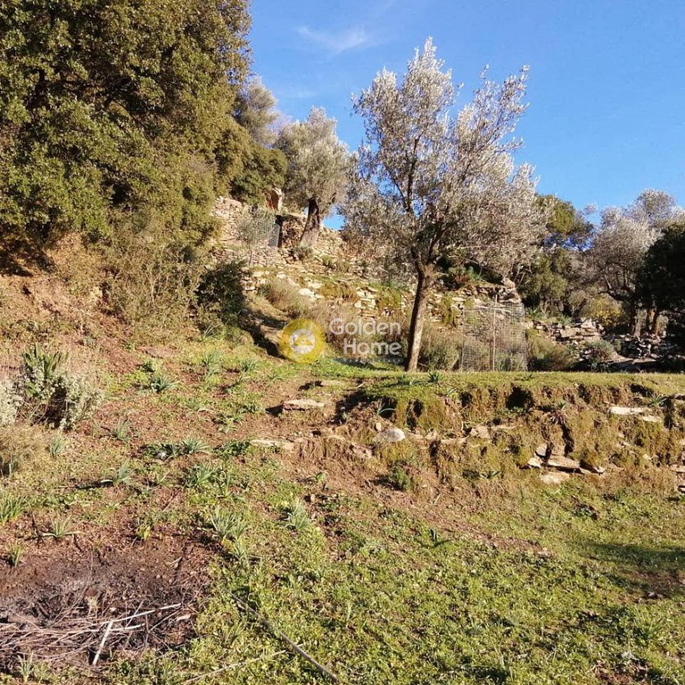 Αγροτεμάχια 2.100 τ.μ. προς πώληση, Μονή Νάξου