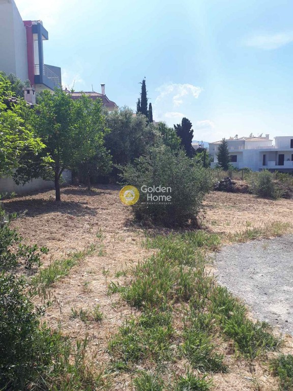 Οικόπεδο 446 τ.μ. προς πώληση, Σίλαμος