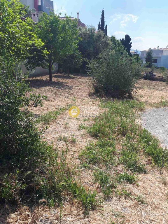 Οικόπεδο 446 τ.μ. προς πώληση, Σίλαμος