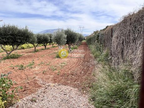 Οικόπεδο 11.000τ.μ. για πώληση-Καλύβια θορικού » Κέντρο
