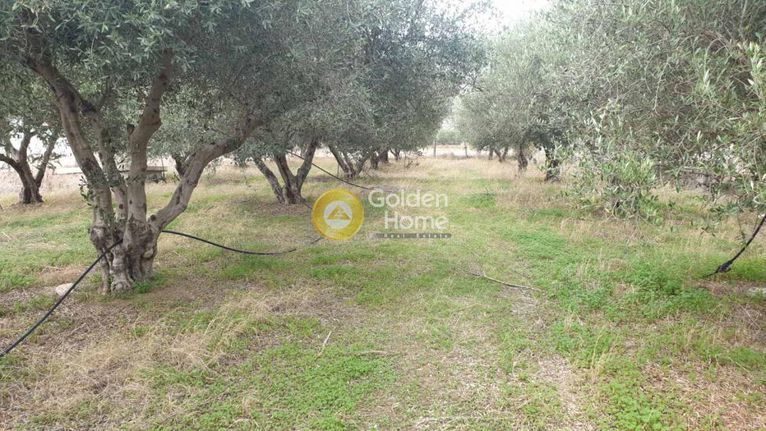 Οικόπεδο 970 τ.μ. για πώληση, Ν. Ηρακλείου, Τετραχώρι