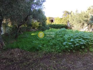 Οικόπεδο 1.450 τ.μ. πρός πώληση