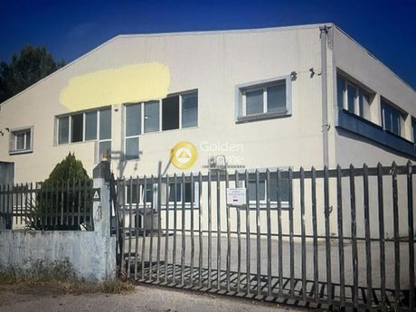 Βιομηχανικός χώρος 1.231τ.μ. για πώληση-Εχέδωρος » Σίνδος