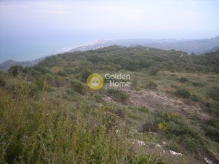 Αγροτεμάχια 45.907 τ.μ. για πώληση