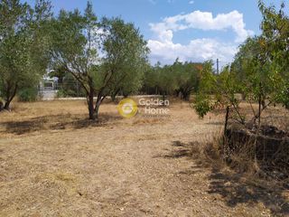 Οικόπεδο 6.000 τ.μ. προς πώληση, Δροσιά Ανθηδώνος-thumb-1