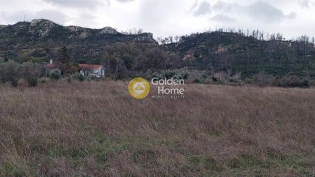 Land plot 15.500sqm for sale-Oropos » Stathmos Afidnon