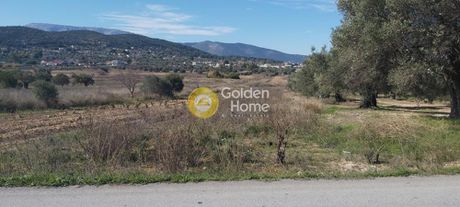 Parcel 6.000sqm for sale-Spata » Center