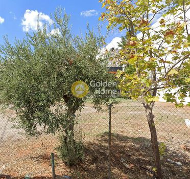 Maisonette 92sqm for sale-Chalandri » Patima