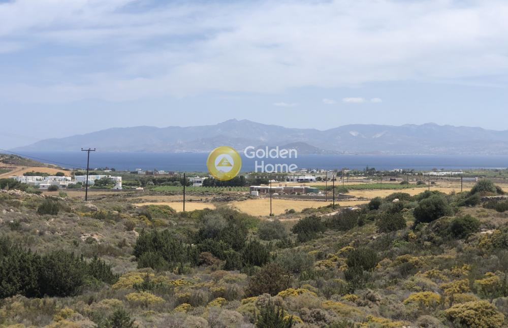 Αγροτεμάχια 12.000 τ.μ. προς πώληση, Κώστος