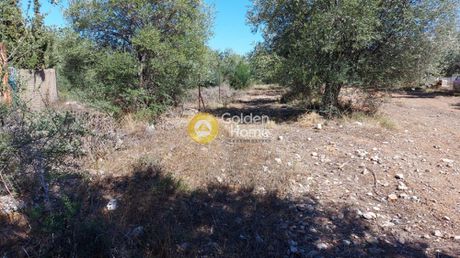 Land plot 648sqm for sale-Paiania » Agia Marina
