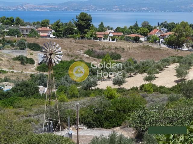 Μονοκατοικία 50 τ.μ. προς πώληση, Νέο Συκάμινο