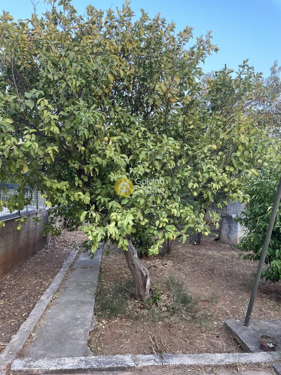 Οικόπεδο 420 τ.μ. προς πώληση, Πόρτο Ράφτη