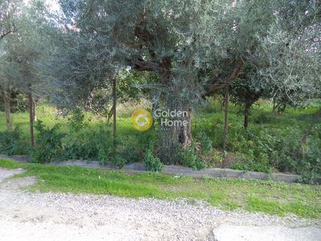 Αγροτεμάχια 653τ.μ. για πώληση-Αίγιο » Βαλιμίτικα