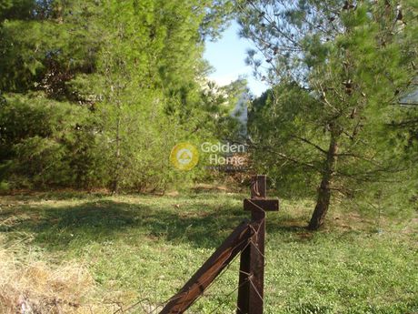 Οικόπεδο 710τ.μ. για πώληση-Κηφισιά » Αδάμες (οικισμός πελοποννησίων)