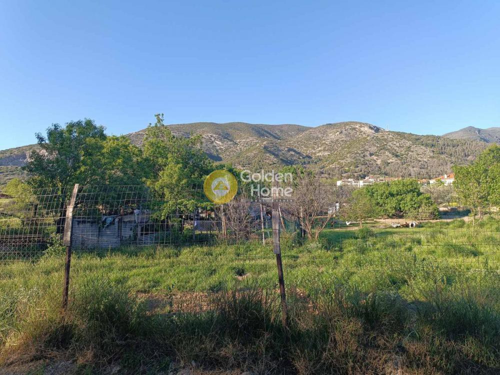Αγροτεμάχια 2.098 τ.μ. πρός πώληση, Μαγνησία, Βόλος