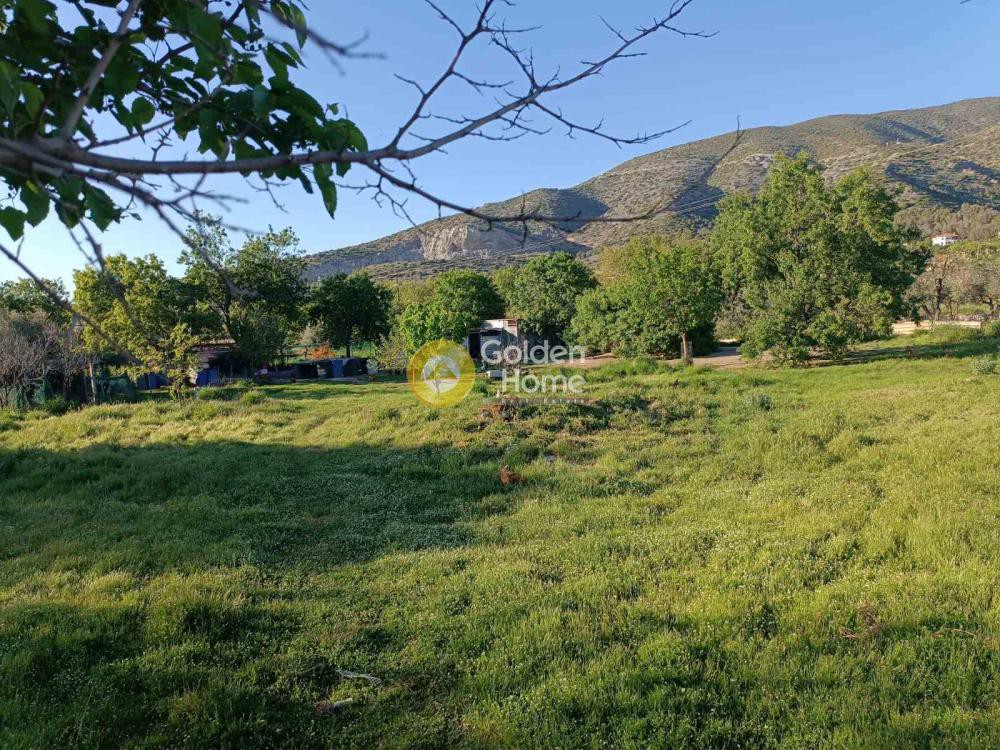 Αγροτεμάχια 2.098 τ.μ. πρός πώληση, Μαγνησία, Βόλος
