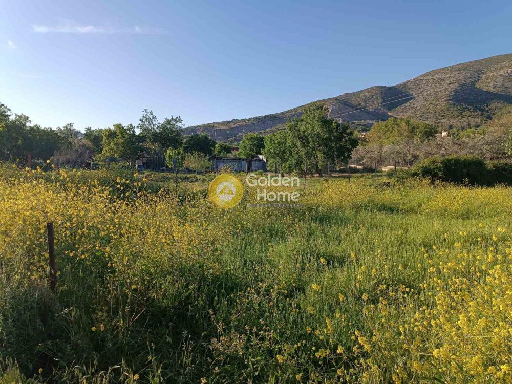 Αγροτεμάχια 2.098 τ.μ. πρός πώληση, Μαγνησία, Βόλος