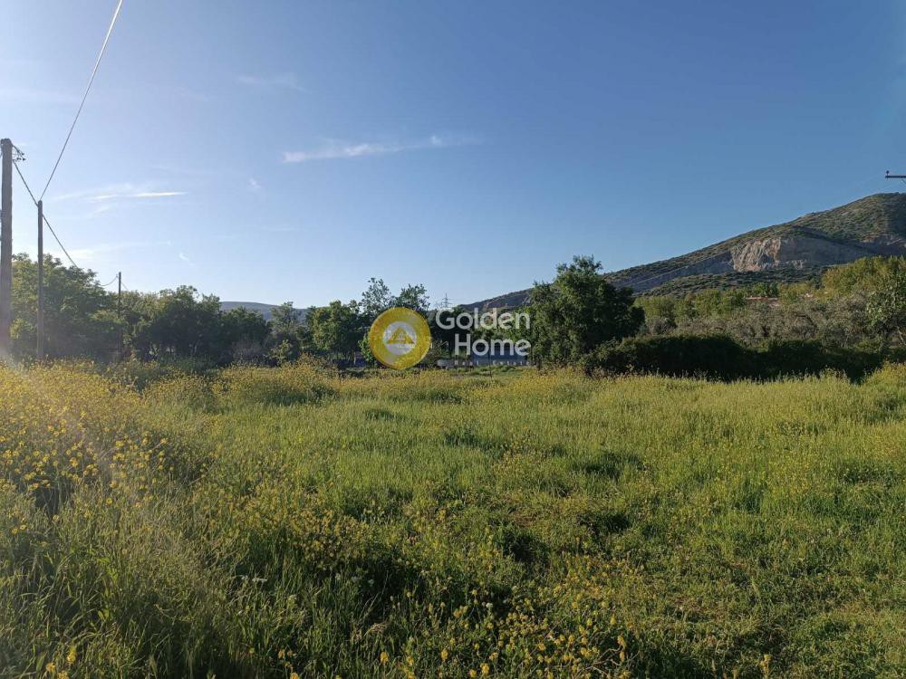Αγροτεμάχια 2.098 τ.μ. πρός πώληση, Μαγνησία, Βόλος