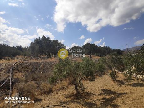 Οικόπεδο 7.600τ.μ. για πώληση-Ιεράπετρα » Άγιασμένος