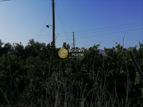 Οικόπεδο 1.320τ.μ. για πώληση-Μοίρες » Μονόχωρο