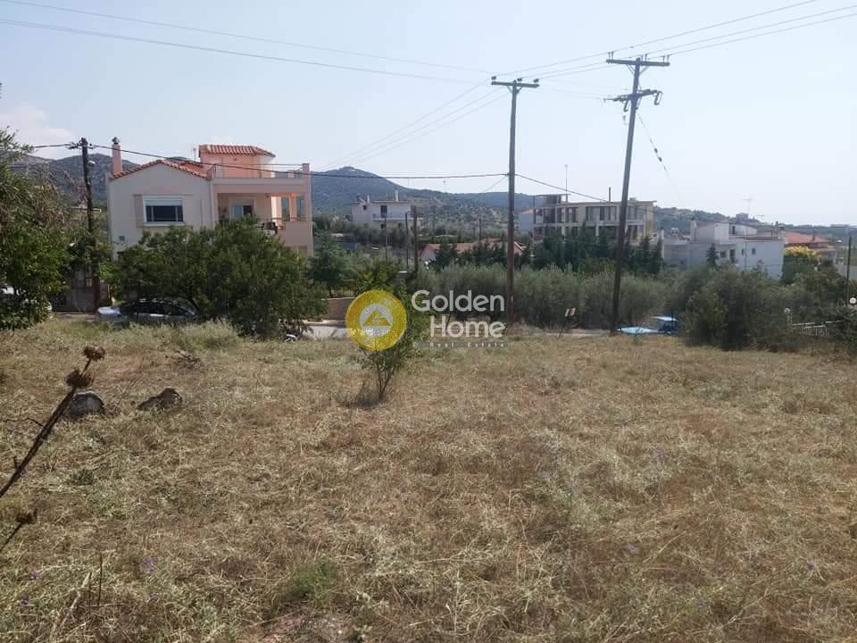 Οικόπεδο 363 τ.μ. πρός πώληση, Μαγνησία, Νέα Αγχίαλος