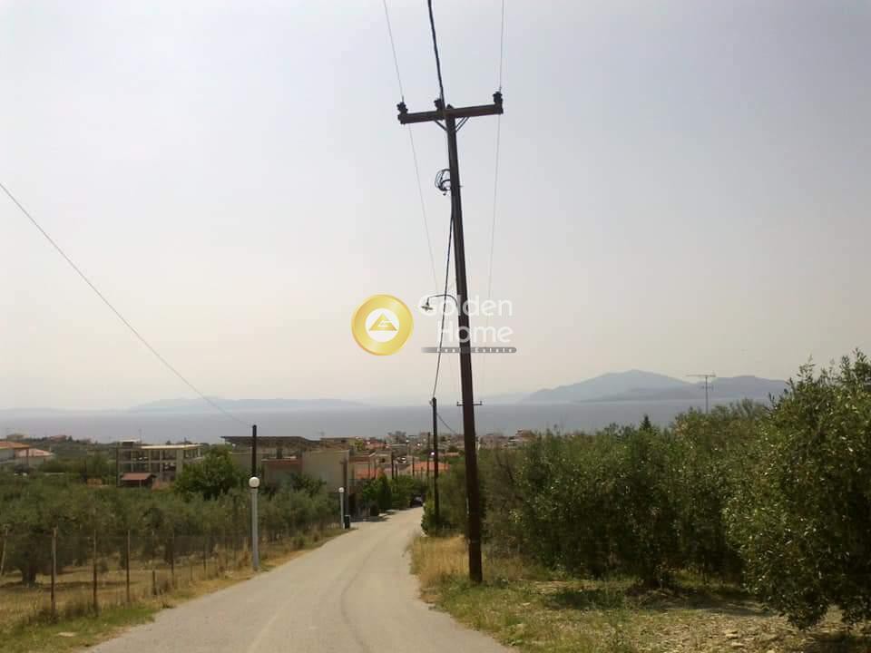 Οικόπεδο 363 τ.μ. πρός πώληση, Μαγνησία, Νέα Αγχίαλος