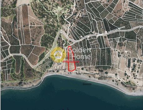 Αγροτεμάχια 5.647τ.μ. για πώληση-Βιαννός » Δέρματος