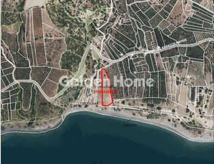 Αγροτεμάχια 5.647 τ.μ. για πώληση
