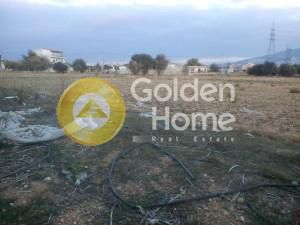 Parcel 3.026 sqm for sale, Athens - West, Acharnes